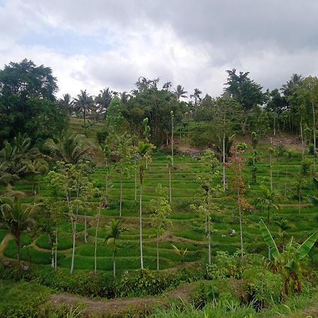 Tetebatu Sunrise Homestay Buitenkant foto