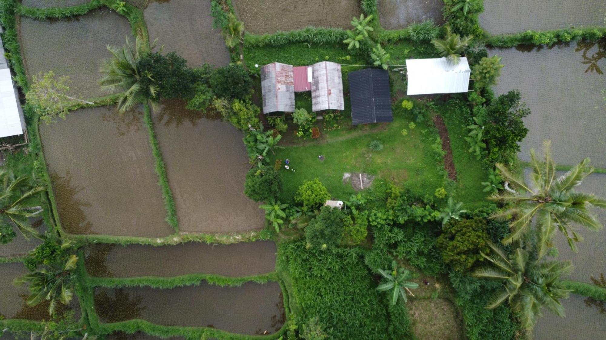 Tetebatu Sunrise Homestay Buitenkant foto