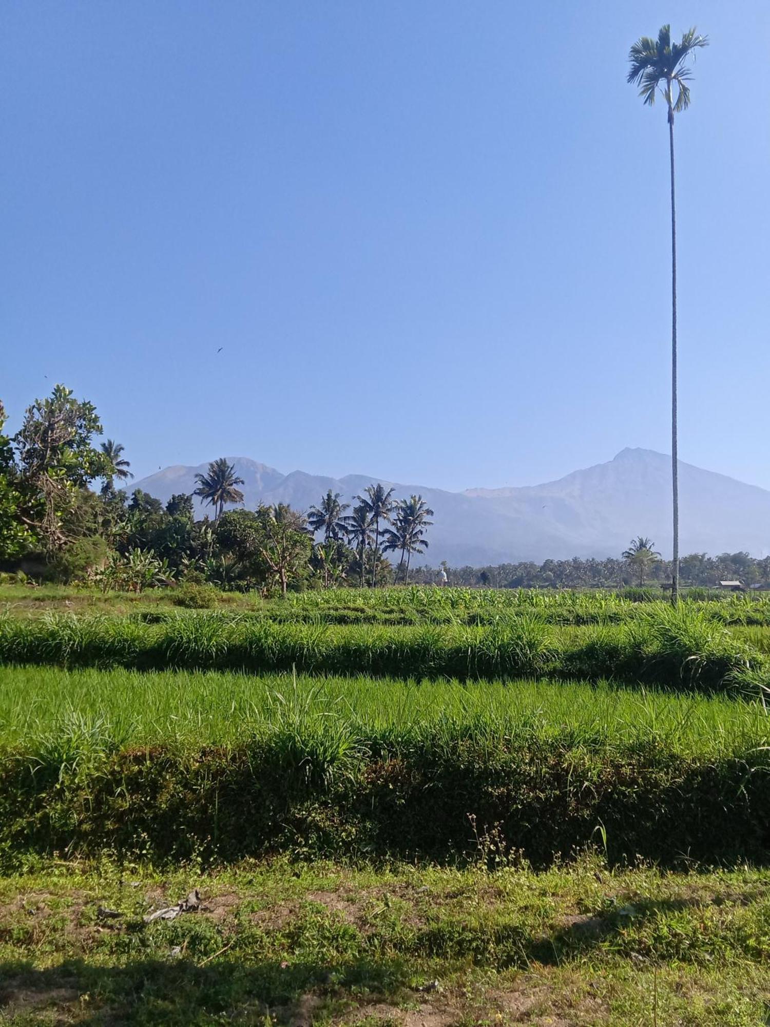 Tetebatu Sunrise Homestay Buitenkant foto