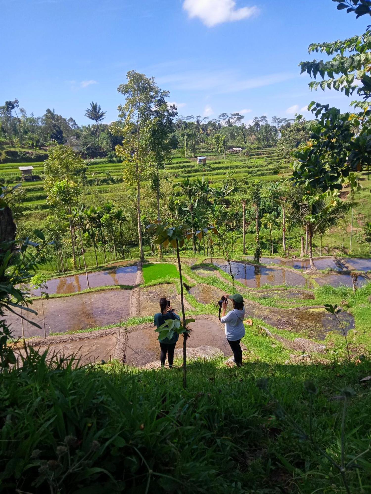 Tetebatu Sunrise Homestay Buitenkant foto