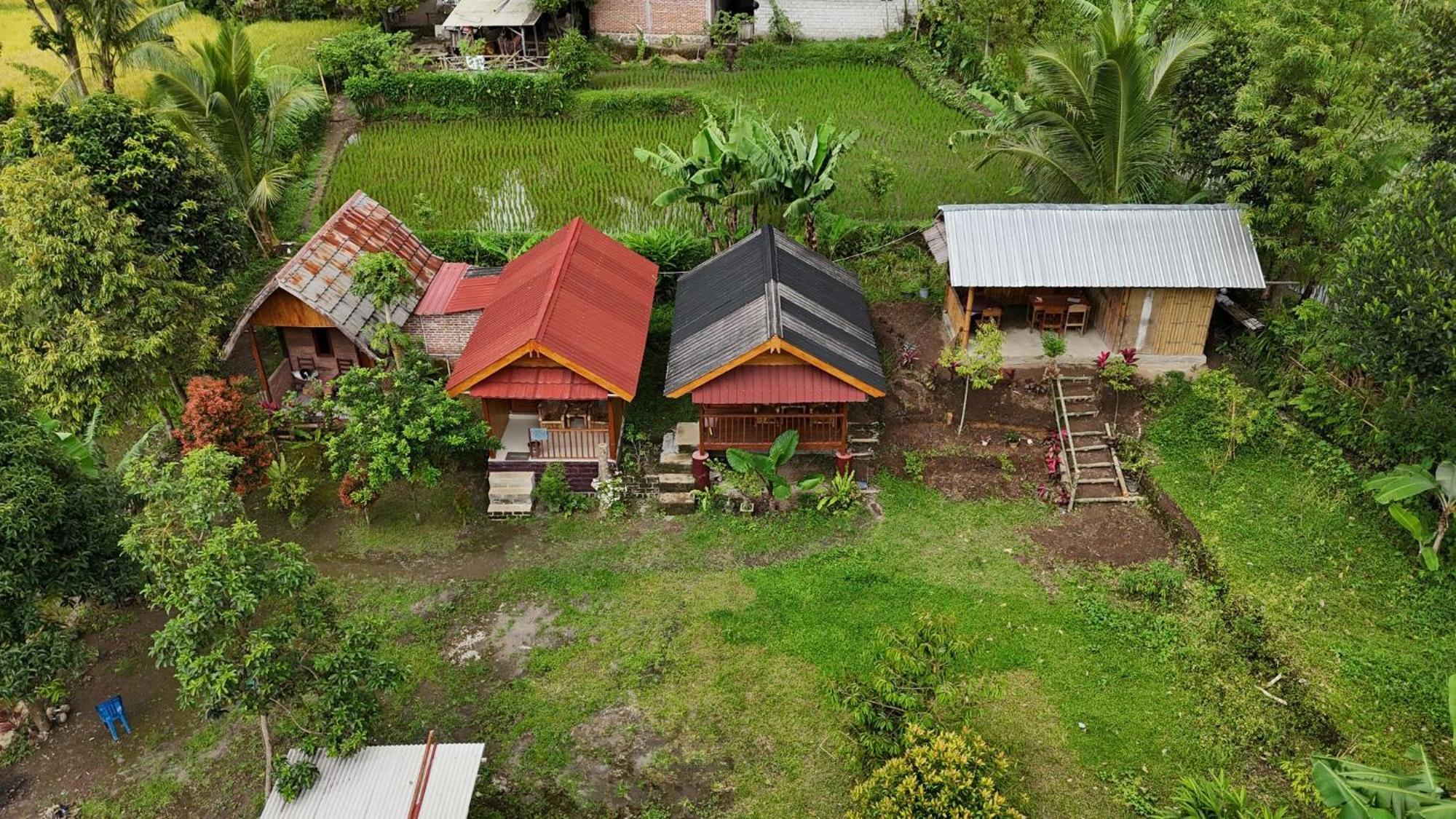 Tetebatu Sunrise Homestay Buitenkant foto